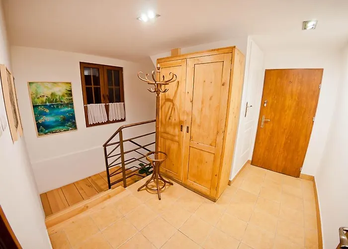 Topaz * 扎科帕内